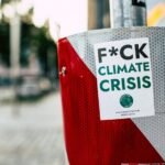 expert campaigns boost traffic