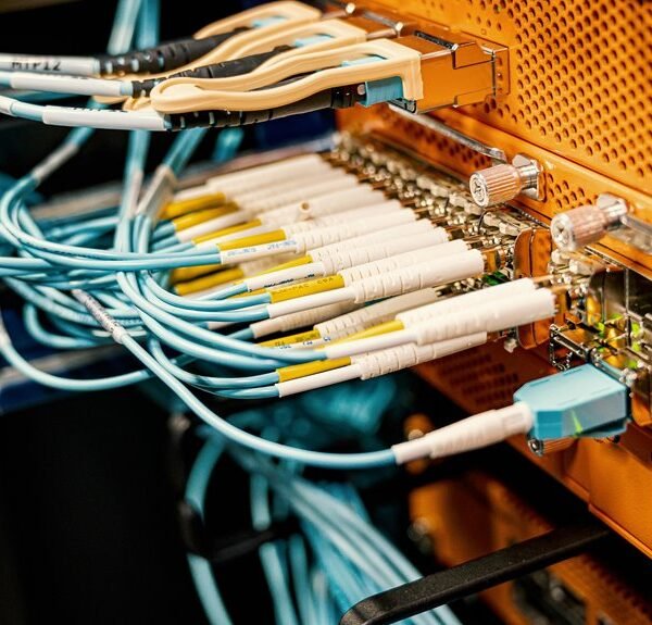 digital creative network hub