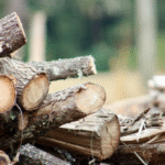 Top Things to Consider When Choosing a Firewood Supplier