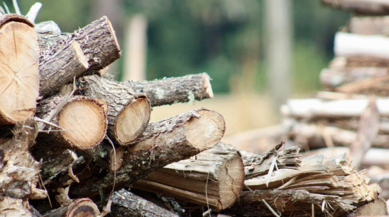 Top Things to Consider When Choosing a Firewood Supplier