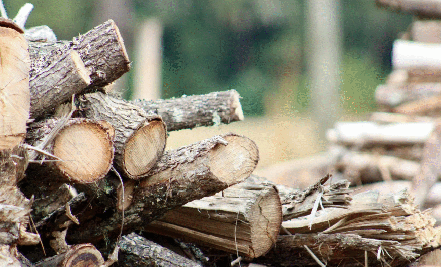 Top Things to Consider When Choosing a Firewood Supplier