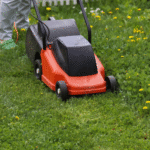 Lawn Maintenance Mistakes That Lead to Thinning Grass