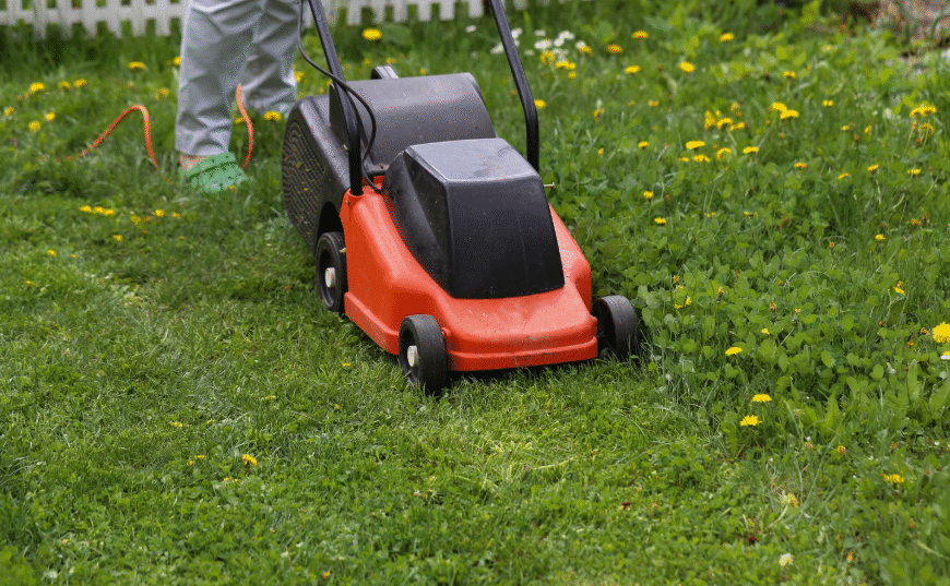 Lawn Maintenance Mistakes That Lead to Thinning Grass